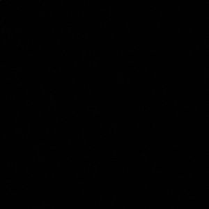 Meet your Posher, Silvia